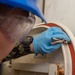 USS Ronald Reagan (CVN 76) Sailors conduct door maintenance