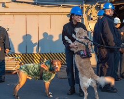 USS Essex In-Port Operations