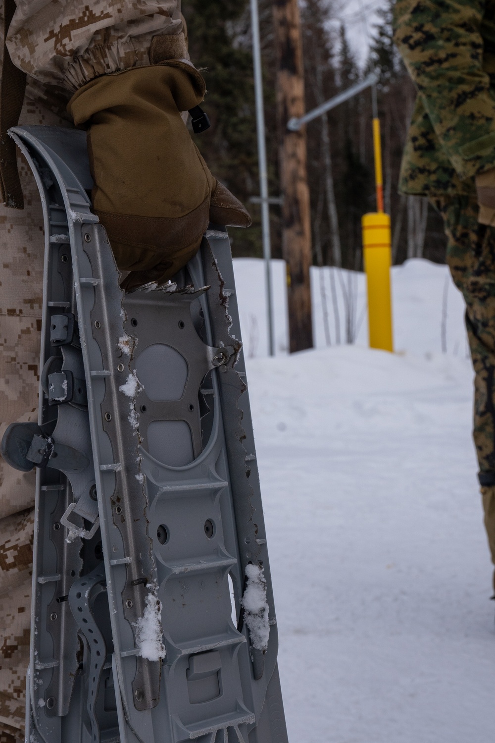 ARCTIC EDGE 24: Fox 2/14 Marines receive MCCWIK instruction