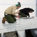 P-8A Phase Inspections