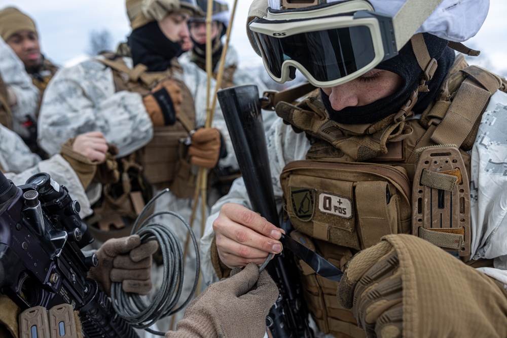 Combat Logistics Battalion 6 Conducts a Live Fire and Maneuver Range