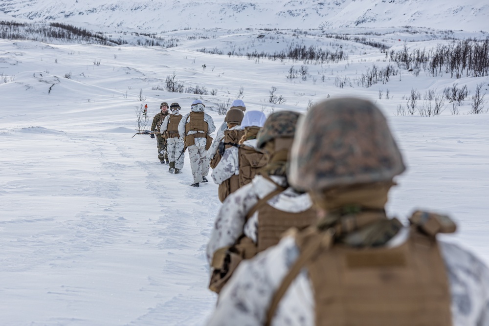 Combat Logistics Battalion 6 Conducts a Live Fire and Maneuver Range