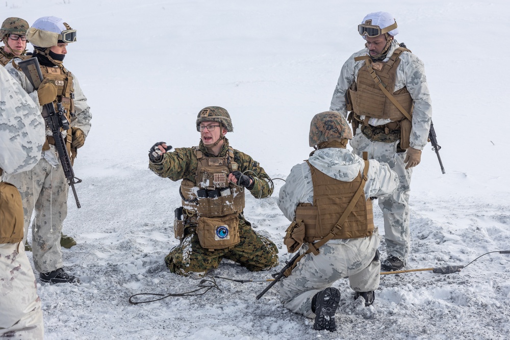 Combat Logistics Battalion 6 Conducts a Live Fire and Maneuver Range