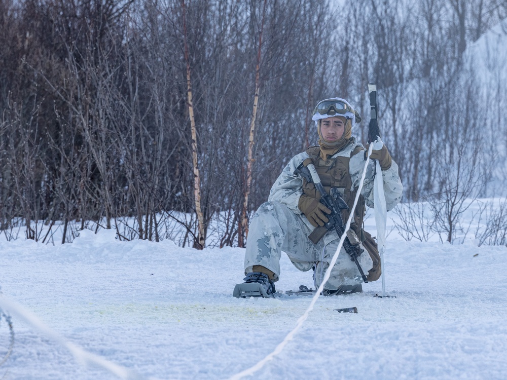 U.S. Marines of 2nd Marine Regiment Conduct a Platoon Live-fire Range in Norway