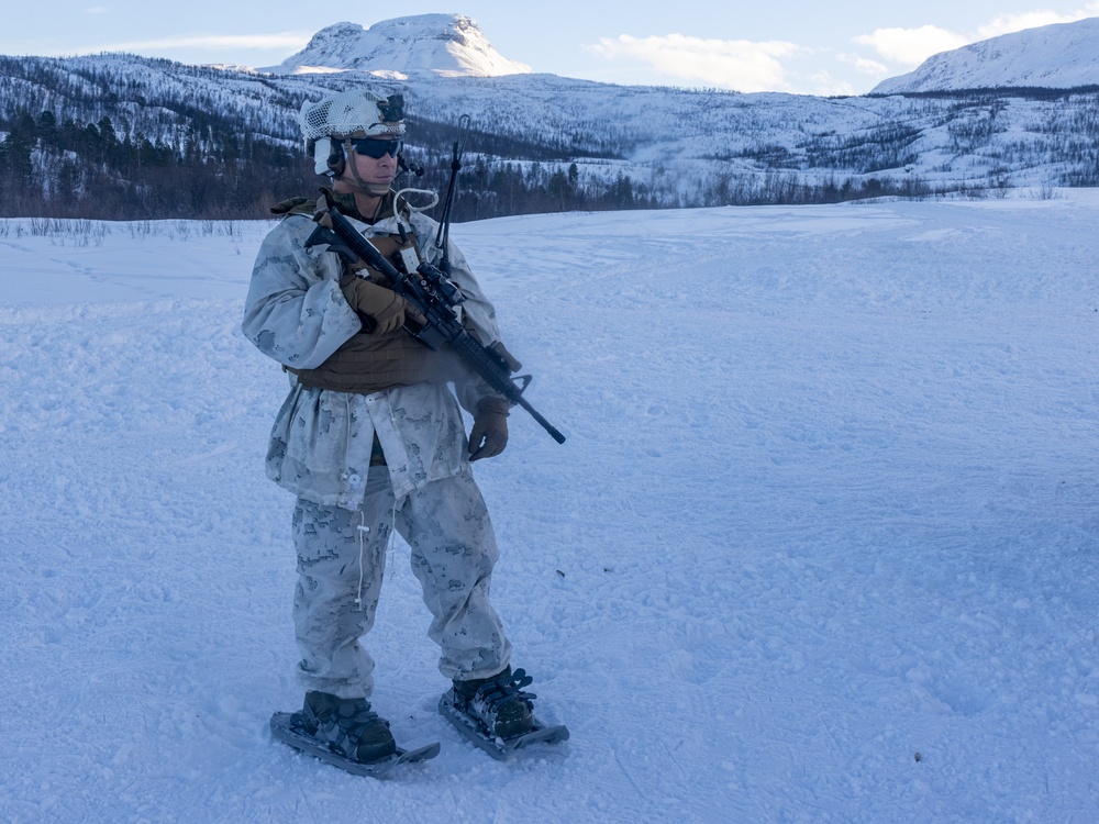 U.S. Marines of 2nd Marine Regiment Conduct a Platoon Live-fire Range in Norway