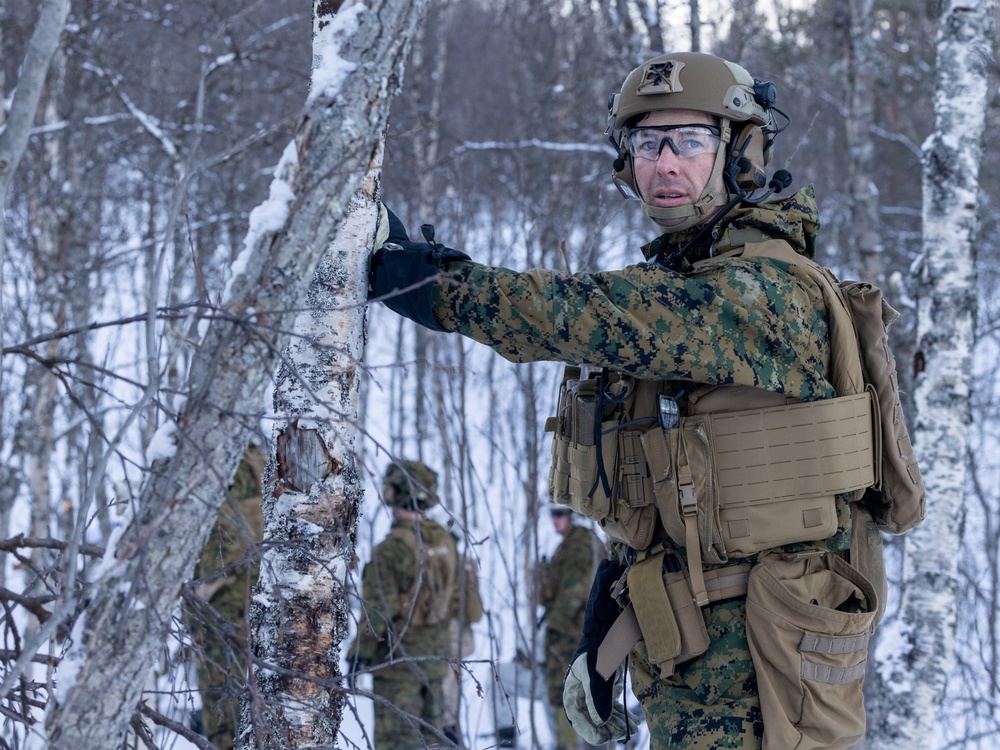 U.S. Marines of 2nd Marine Regiment Conduct a Platoon Live-fire Range in Norway