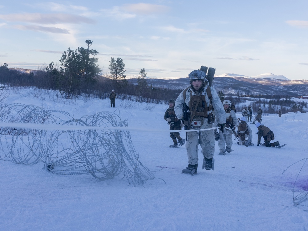 U.S. Marines of 2nd Marine Regiment Conduct a Platoon Live-fire Range in Norway