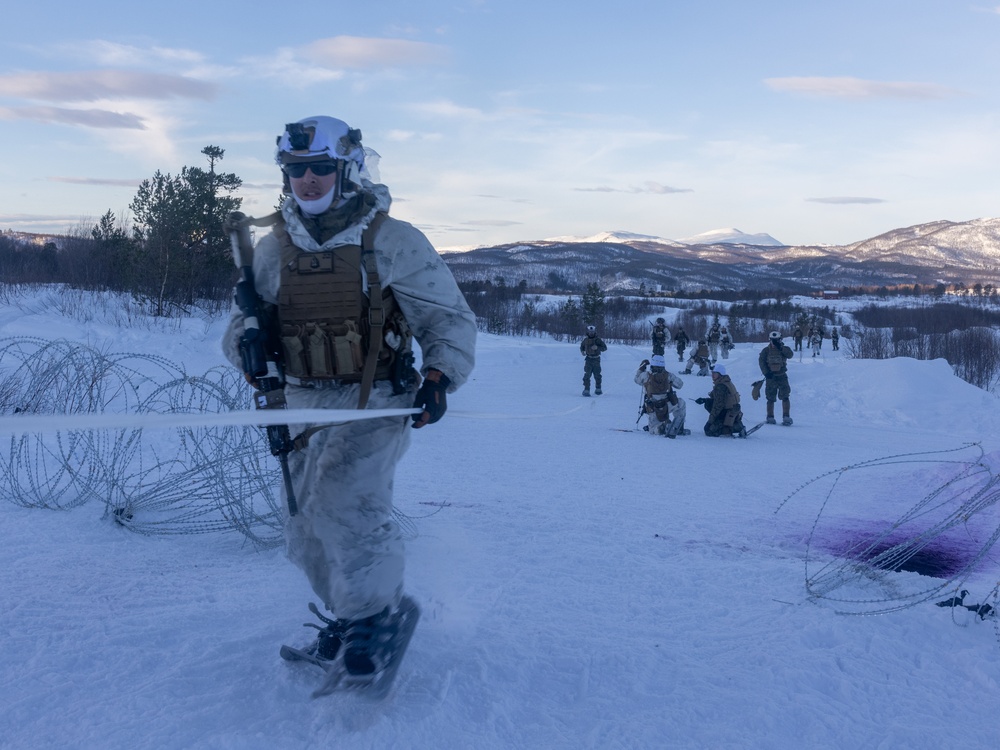 U.S. Marines of 2nd Marine Regiment Conduct a Platoon Live-fire Range in Norway