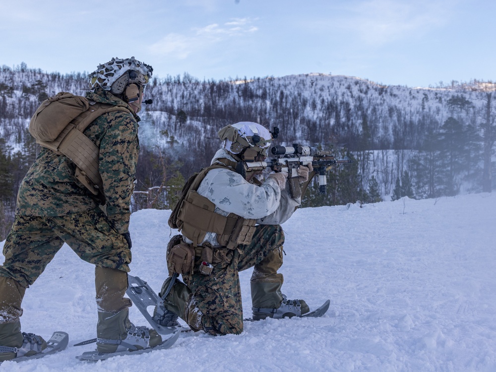 U.S. Marines of 2nd Marine Regiment Conduct a Platoon Live-fire Range in Norway