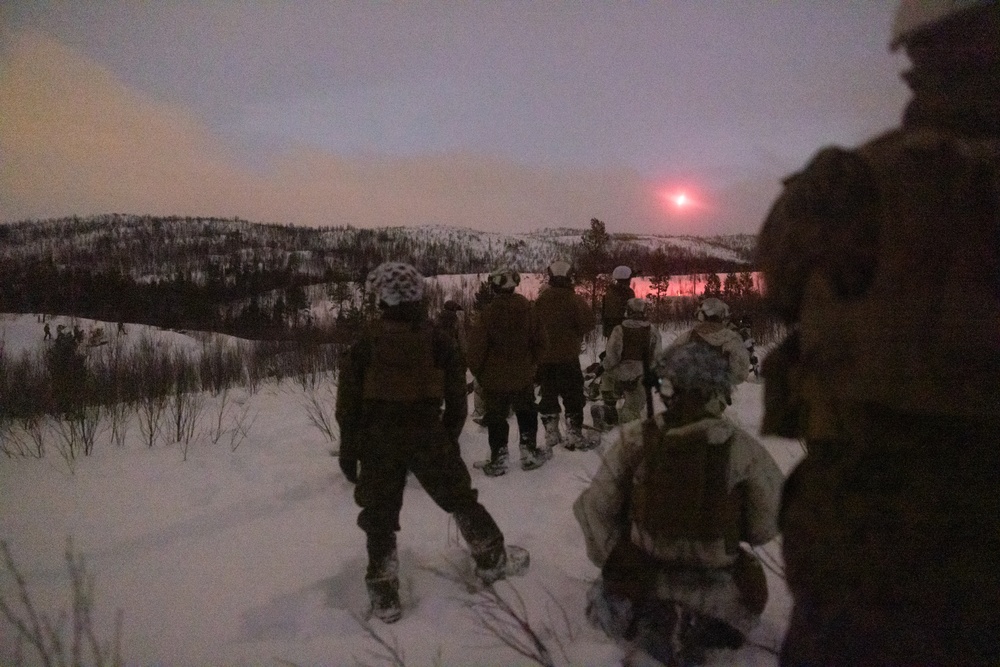 U.S. Marines of 2nd Marine Regiment Conduct a Platoon Live-fire Range in Norway