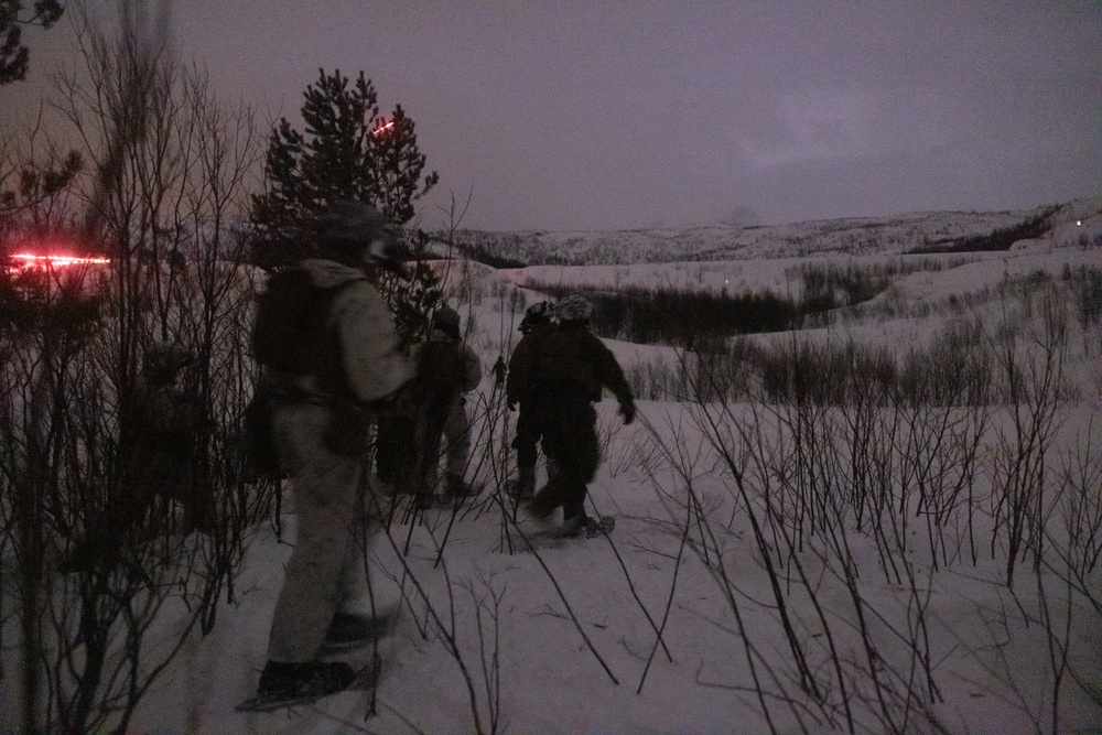 U.S. Marines of 2nd Marine Regiment Conduct a Platoon Live-fire Range in Norway