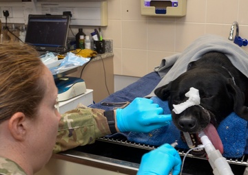 Navy Medicine Readiness and Training Unit Bahrain