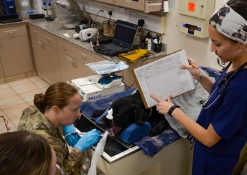 Navy Medicine Readiness and Training Unit Bahrain