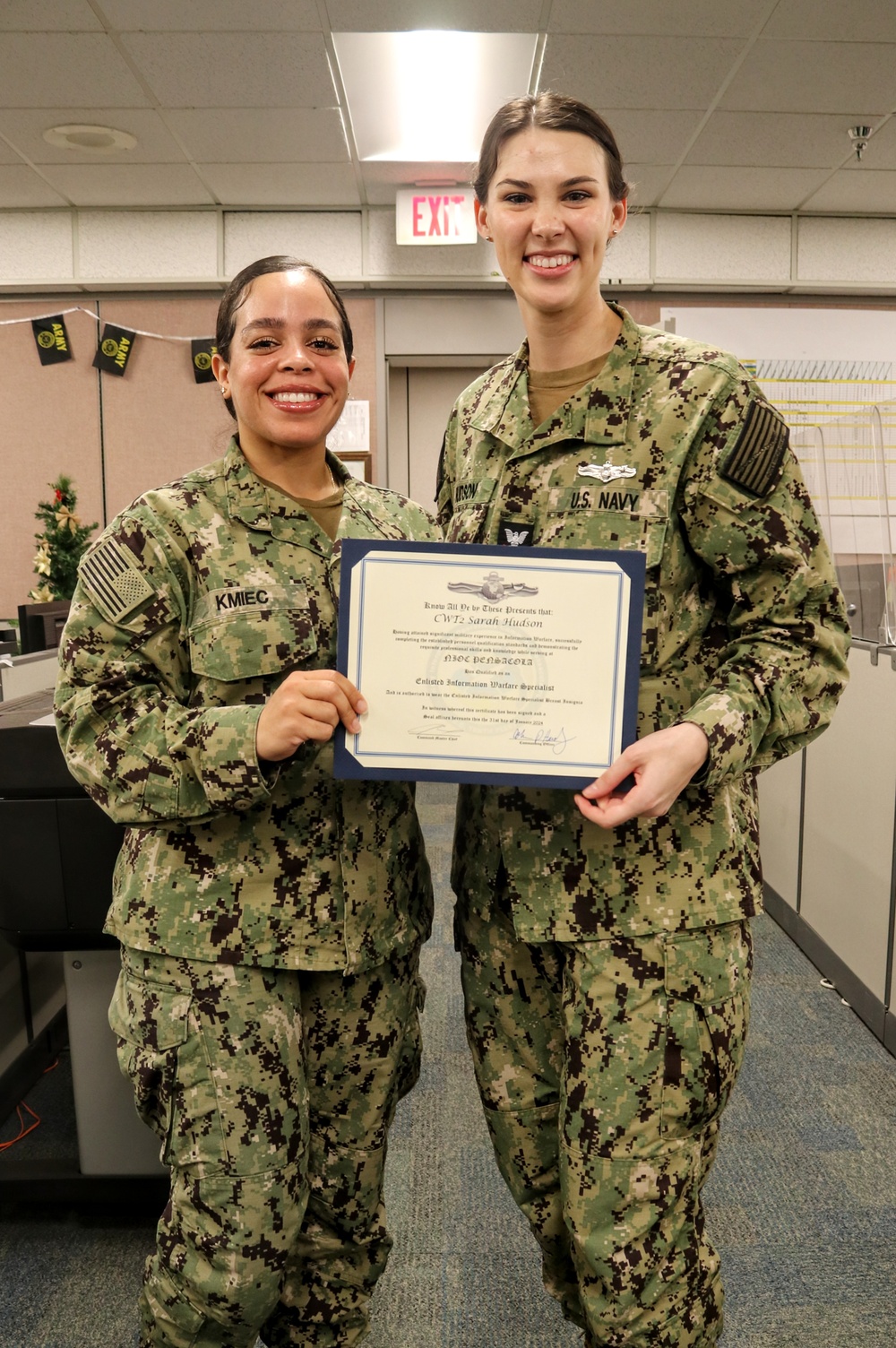 CWT2 Hudson Pinning