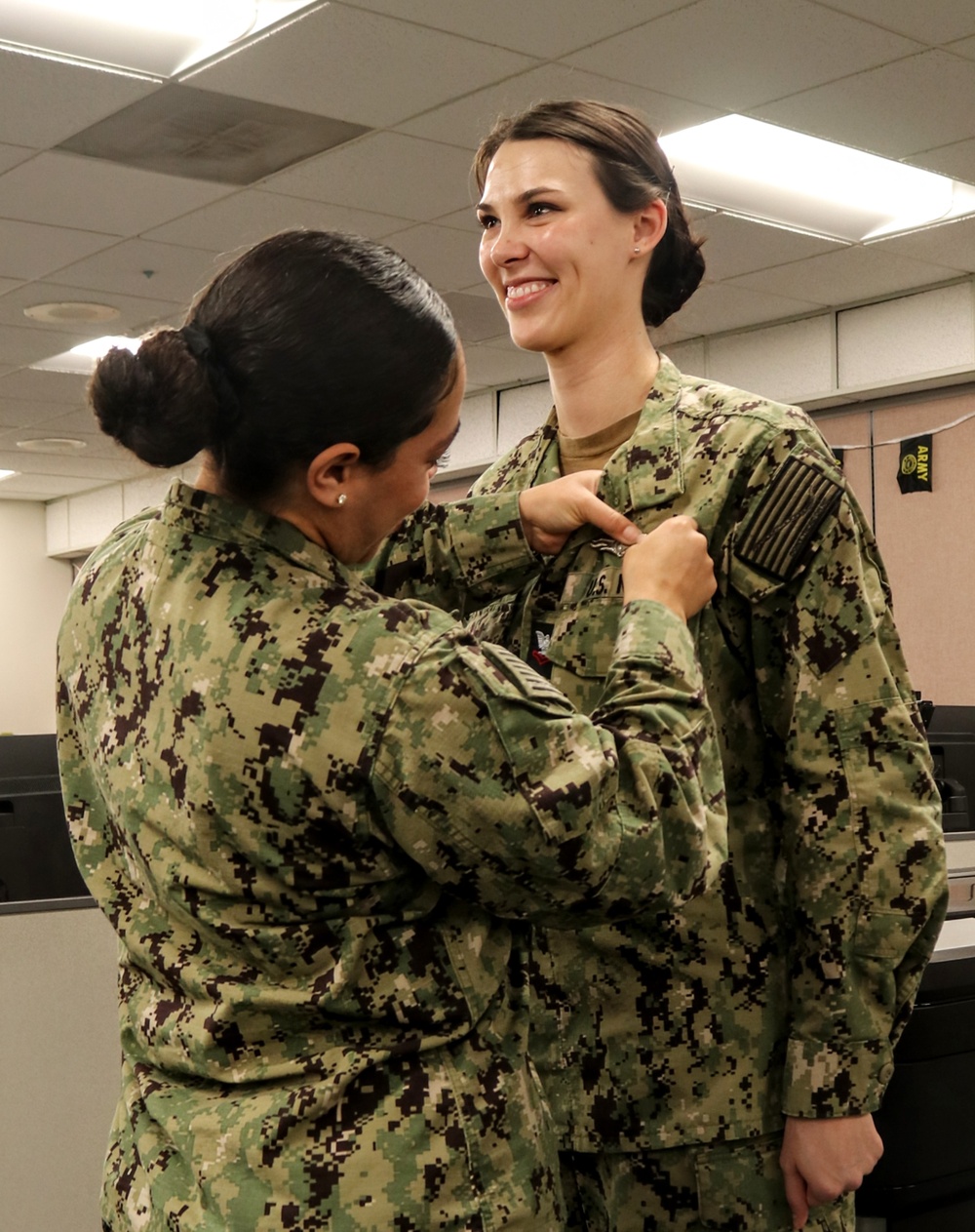 CWT2 Hudson Pinning