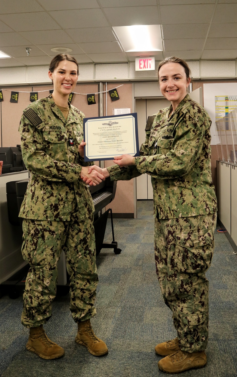 CWT2 Hudson Pinning