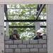 Cobra Gold 24; Marines with Marine Wing Support Squadron 171 lay bricks at the Ban Prakaet School