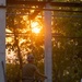 Cobra Gold 24; Marines do ground work on the Ban Prakaet School