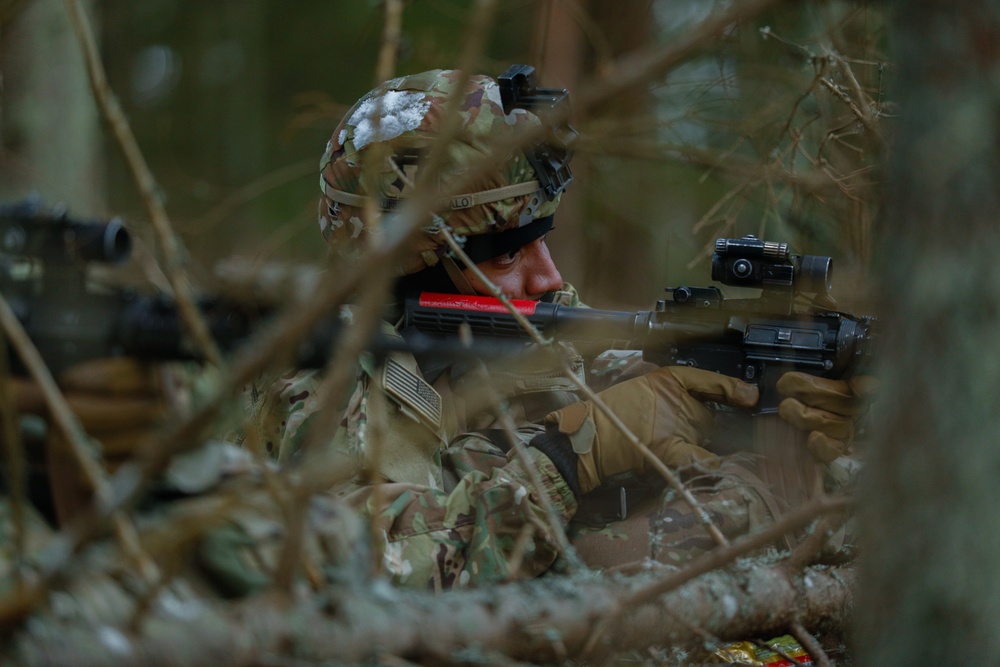 DVIDS - Images - Task Force Marne troops conduct exercise Sentry ...