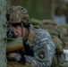 Task Force Marne troops conduct exercise Sentry Sentinel