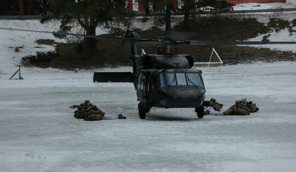 Task Force Marne troops conduct exercise Sentry Sentinel