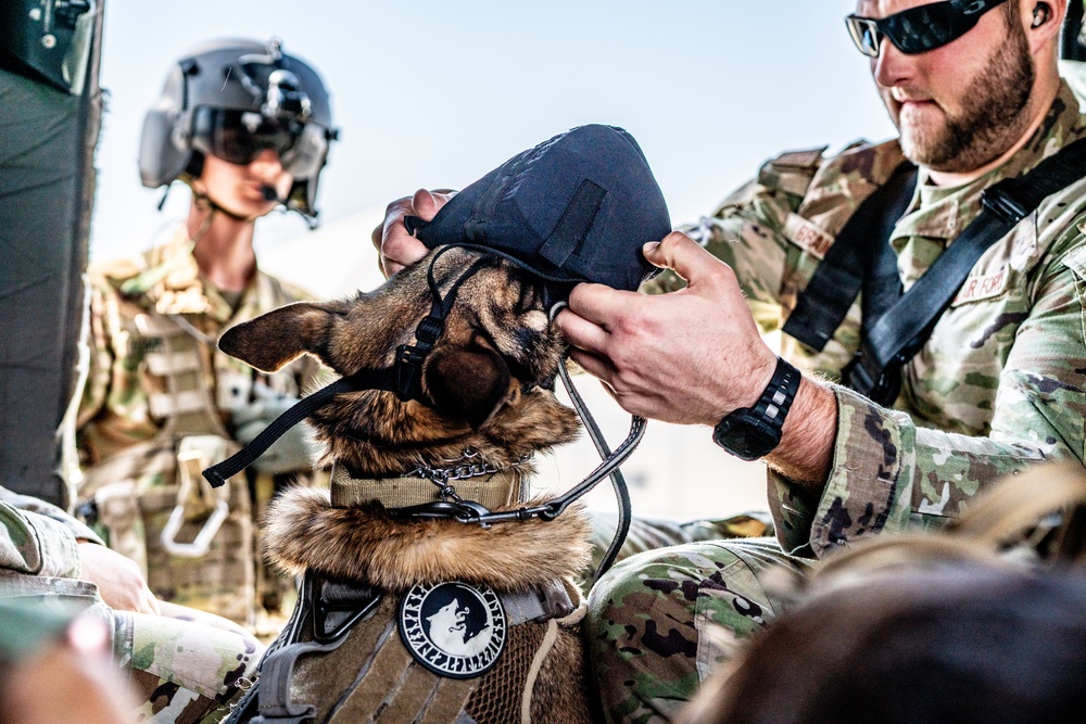 82nd CAB K9 Morale Flight