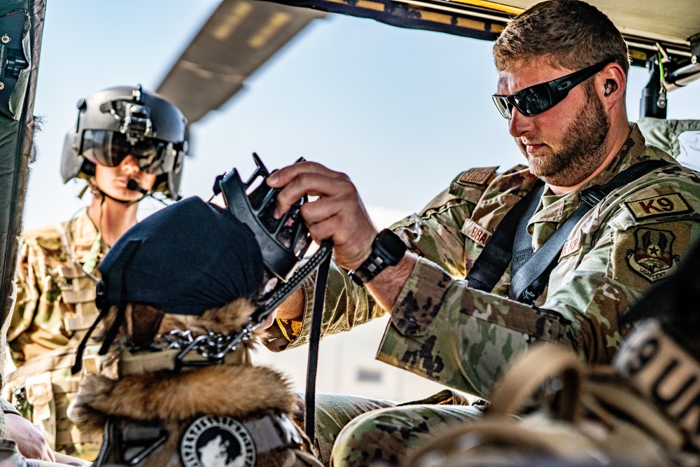 DVIDS Images 82nd CAB K9 Morale Flight [Image 8 of 33]