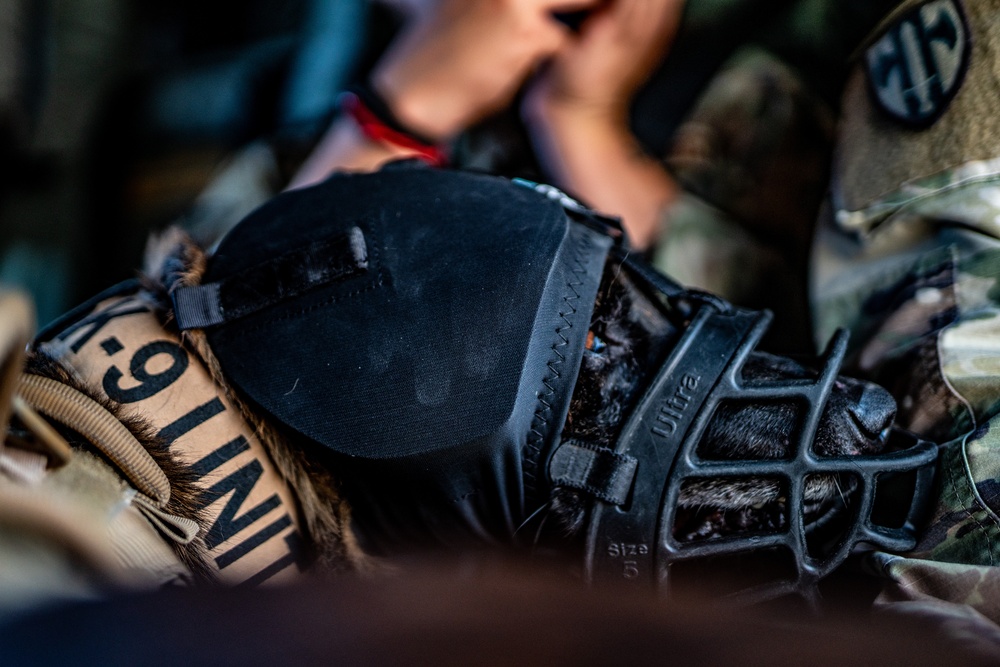 DVIDS Images 82nd CAB K9 Morale Flight [Image 12 of 33]