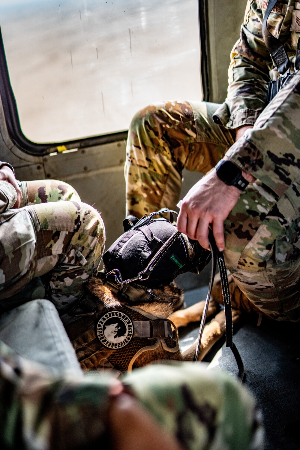 DVIDS Images 82nd CAB K9 Morale Flight [Image 21 of 33]