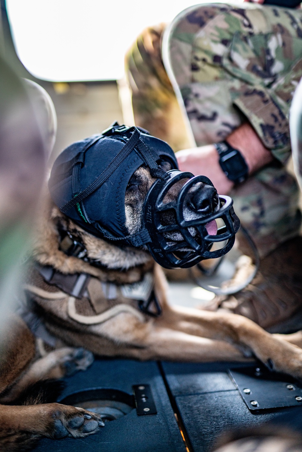 DVIDS Images 82nd CAB K9 Morale Flight [Image 27 of 33]
