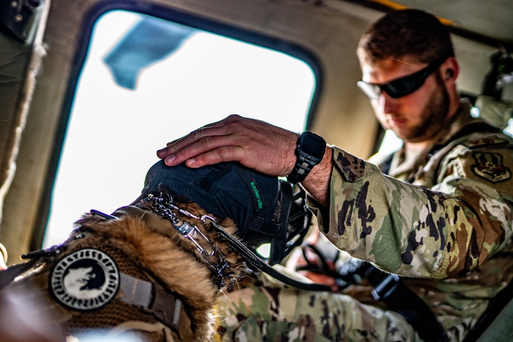 DVIDS Images 82nd CAB K9 Morale Flight [Image 30 of 33]