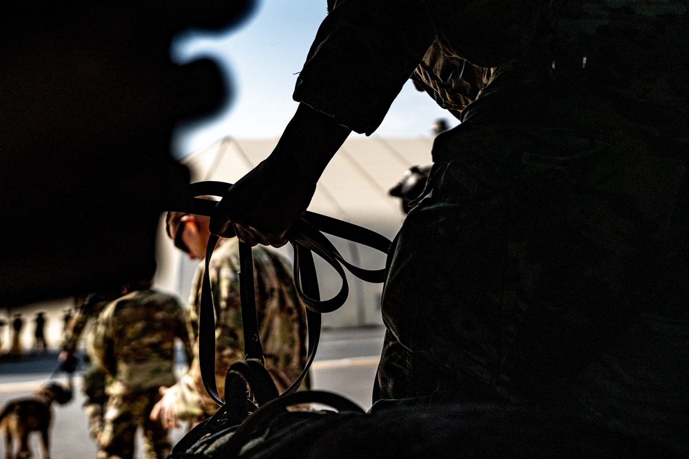 DVIDS Images 82nd CAB K9 Morale Flight [Image 33 of 33]