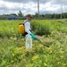 Fort Drum Natural Resources takes “rapid response” approach to harmful invasive species