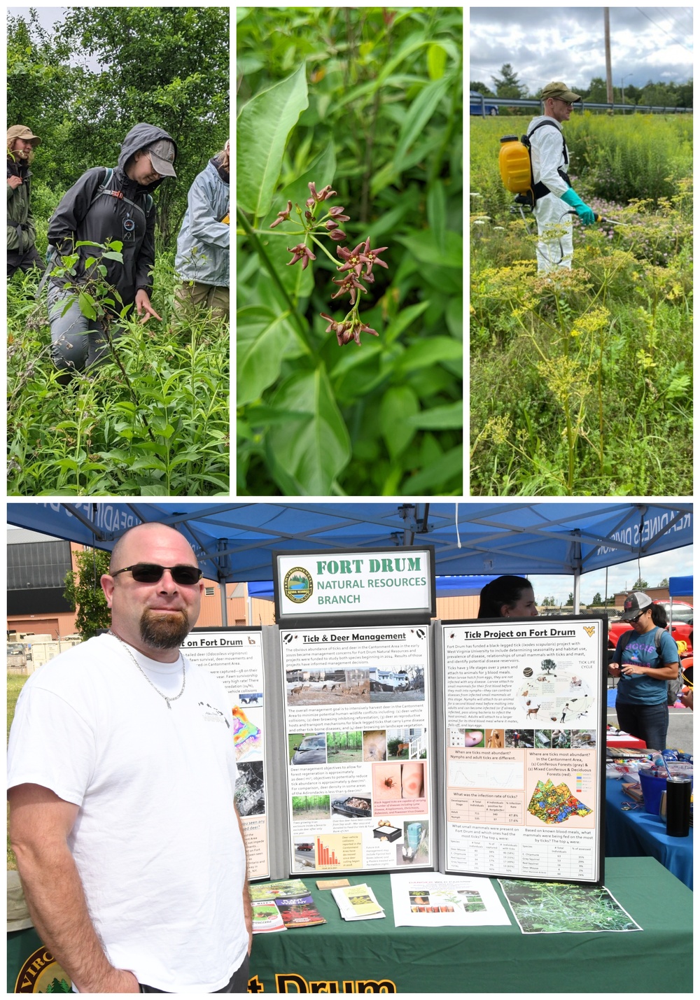 Fort Drum Natural Resources takes “rapid response” approach to harmful invasive species