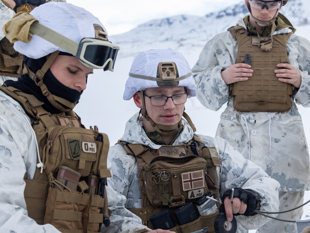 U.S. Marines with 1st Battalion, 2nd Marine Regiment conduct a demolition range in preparation for Exercise Nordic Response 24