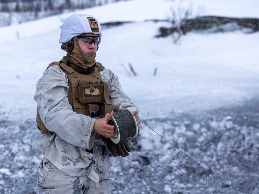 U.S. Marines with 1st Battalion, 2nd Marine Regiment conduct a demolition range in preparation for Exercise Nordic Response 24