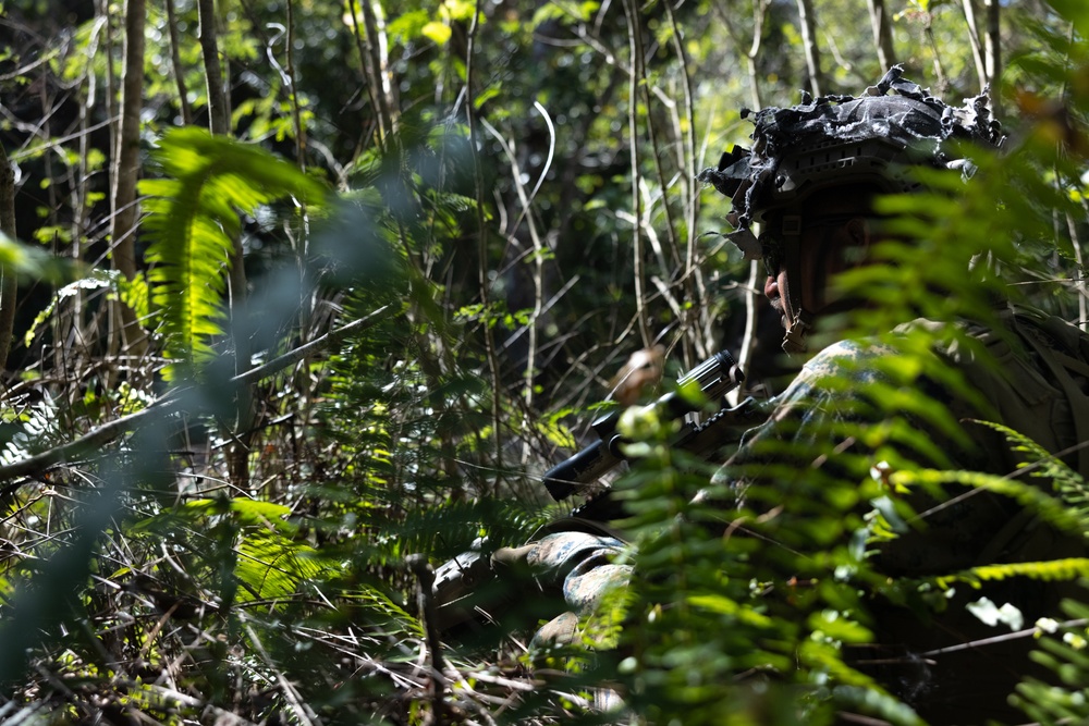 2d Battalion, 7th Marines: Bridge Demolition Training