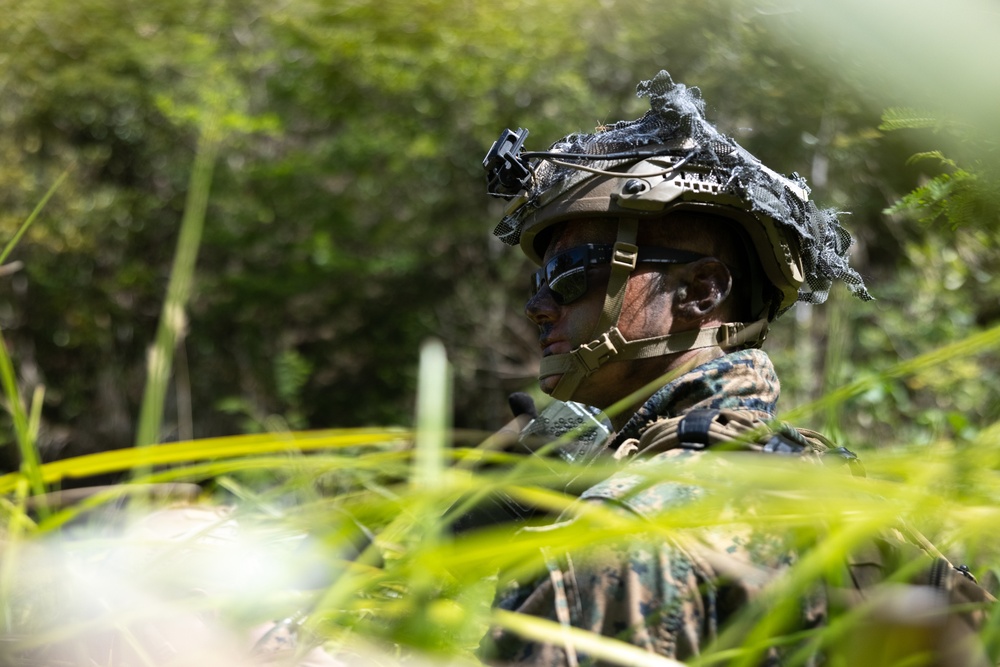 2d Battalion, 7th Marines: Bridge Demolition Training