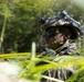 2d Battalion, 7th Marines: Bridge Demolition Training