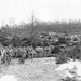 10th Mountain Division Secures Key High Ground (25 FEB 1945)