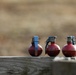 Norwegian Home Defense Youth Throw Simulated Hand Grenades during NOREX 51