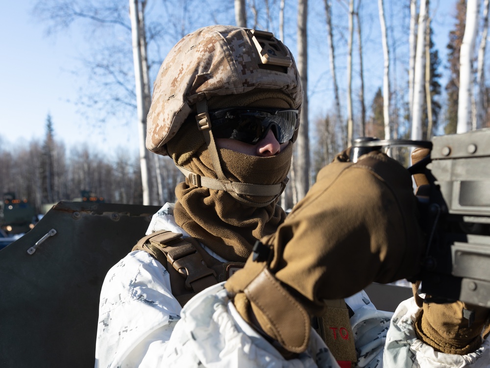 ARCTIC EDGE 2024: Marines conduct cold weather training