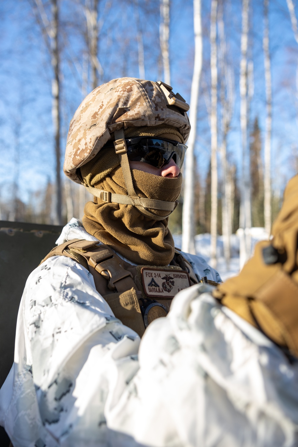 ARCTIC EDGE 2024: Marines conduct cold weather training