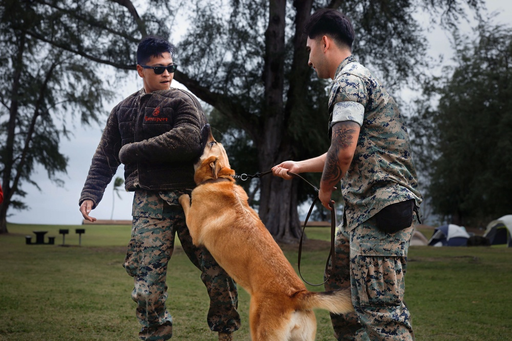 Who Let the Dogs Out: American Boy Scouts See What it Takes to be a Military Dog Handler