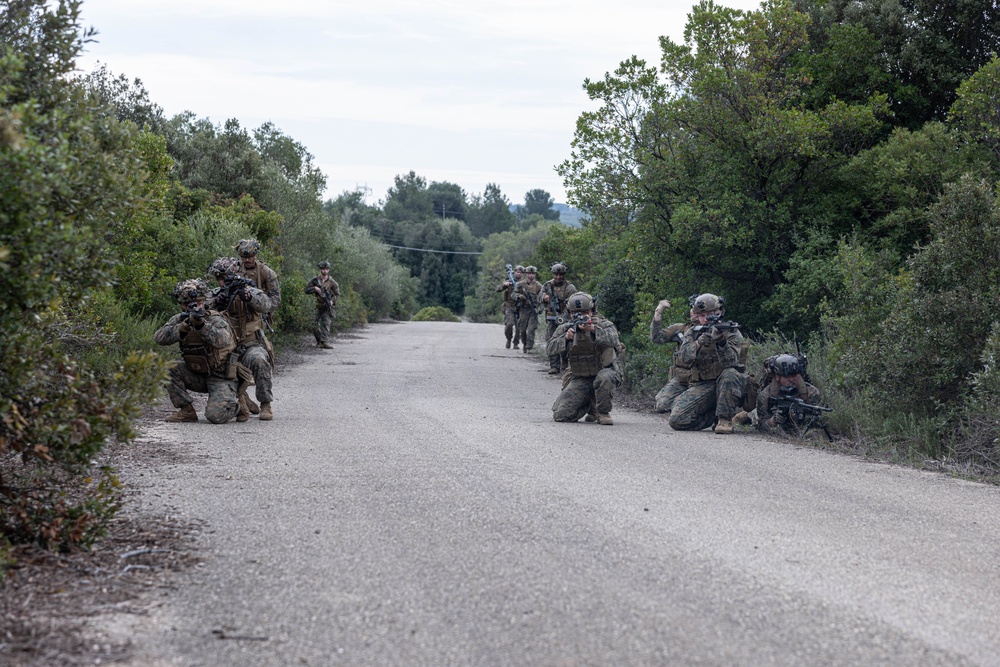 26th MEU(SOC) and Italian San Marco Brigade Marines Exchange Patrolling TTPs