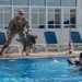 MWDs participate in water familiarization training