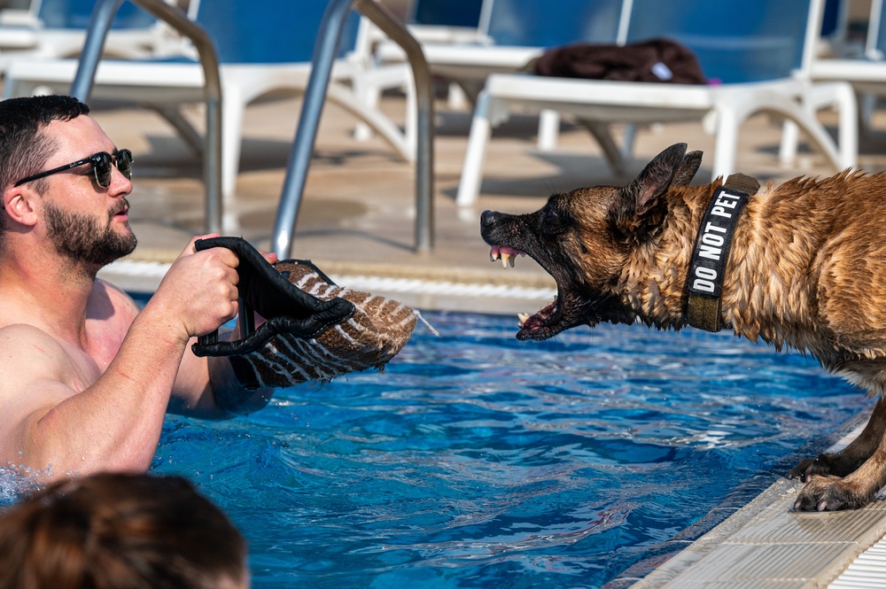 MWDs participate in water familiarization training