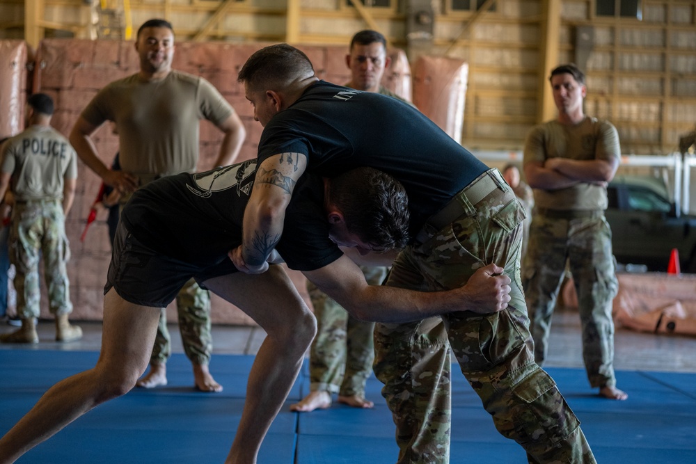 156th Security Forces Combative Training