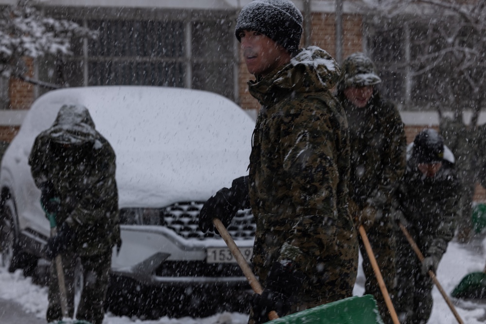 Korea Viper 24.1 | U.S. and Republic of Korea Marines Shovel Snow