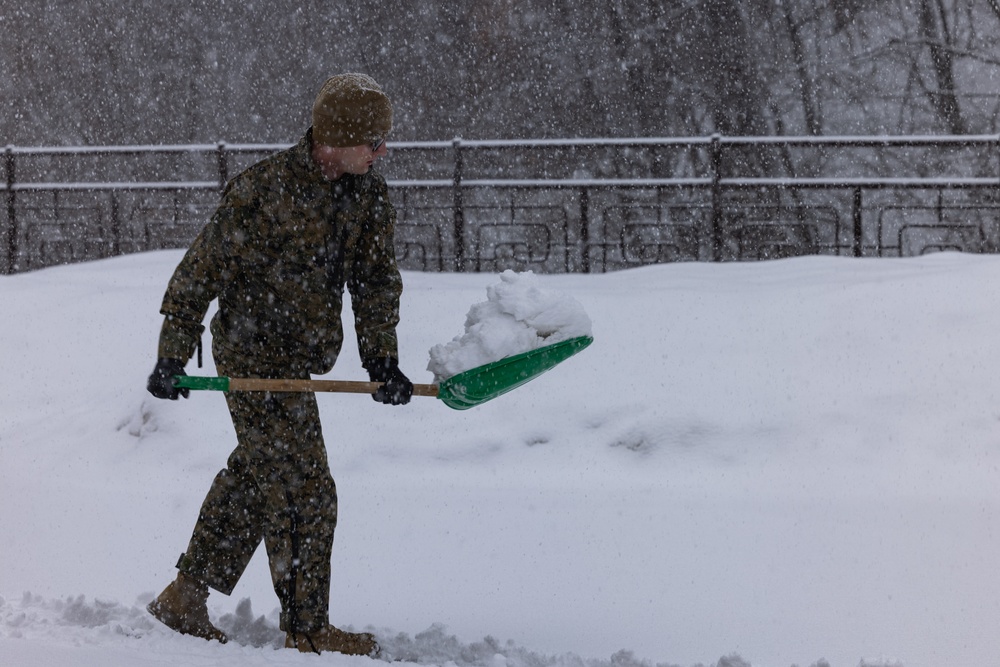 Korea Viper 24.1 | U.S. and Republic of Korea Marines Shovel Snow